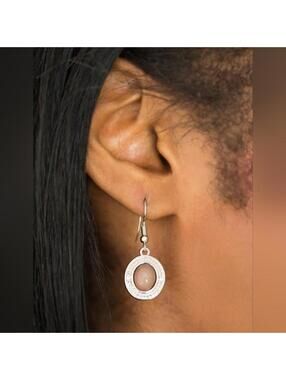 Paparazzi A La Mode Brown Silver Tone Hook Earrings NWT